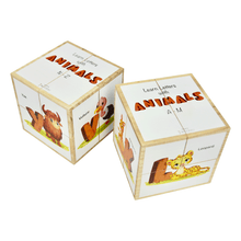 Load image into Gallery viewer, EDU Cubes Set